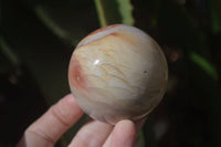 Polished Polychrome Jasper Spheres  x 4 From Madagascar - Toprock Gemstones and Minerals 