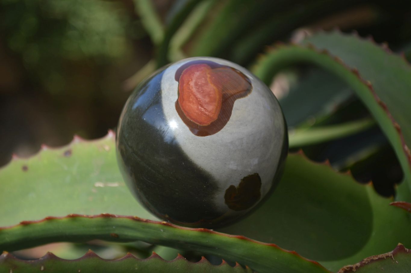 Polished Polychrome Jasper Spheres  x 4 From Madagascar - Toprock Gemstones and Minerals 