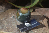 Polished Polychrome Jasper Spheres  x 4 From Madagascar - Toprock Gemstones and Minerals 