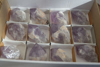 Polished Jacaranda Amethyst Crystals x 12 From Mumbwe, Zambia - Toprock Gemstones and Minerals 