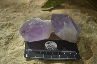 Polished Jacaranda Amethyst Crystals x 12 From Mumbwe, Zambia - Toprock Gemstones and Minerals 