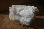 Natural Rough Dendritic White Opal Specimens  x 12 From Namibia - Toprock Gemstones and Minerals 