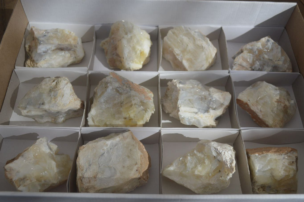 Natural Rough Dendritic White Opal Specimens  x 12 From Namibia - Toprock Gemstones and Minerals 