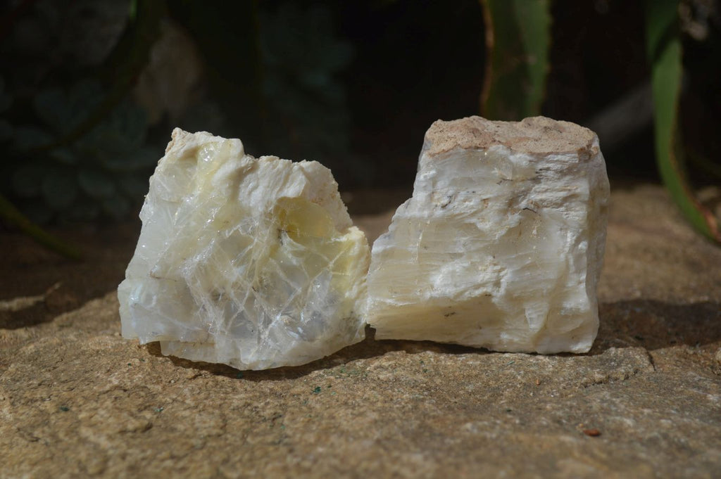 Natural Rough Dendritic White Opal Specimens  x 12 From Namibia - Toprock Gemstones and Minerals 