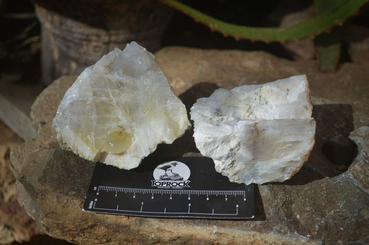 Natural Rough Dendritic White Opal Specimens  x 12 From Namibia - Toprock Gemstones and Minerals 