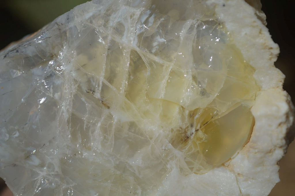 Natural Rough Dendritic White Opal Specimens  x 12 From Namibia - Toprock Gemstones and Minerals 