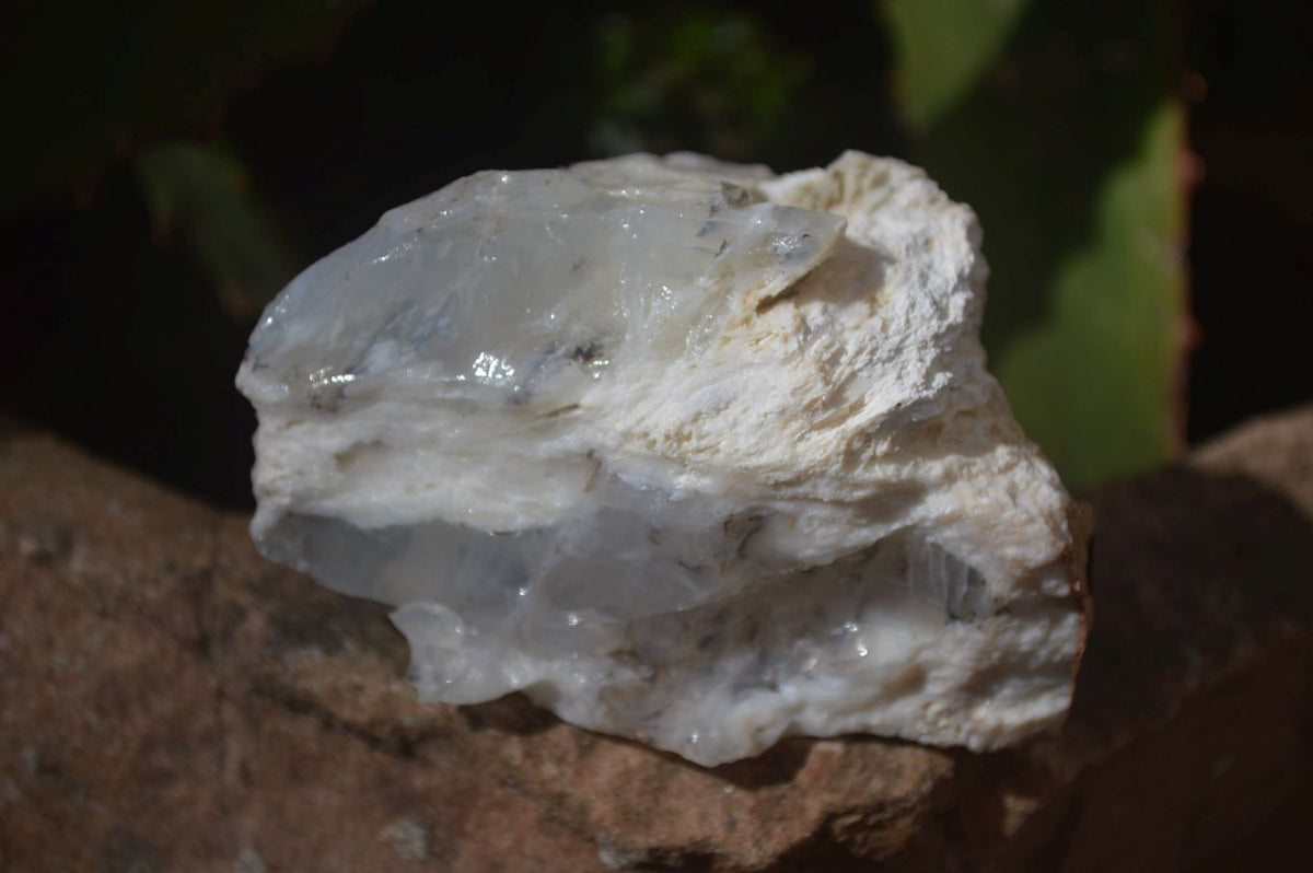 Natural Rough Dendritic White Opal Specimens  x 12 From Namibia - Toprock Gemstones and Minerals 