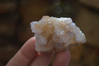Natural Spirit Quartz Clusters x 12 From Boekenhouthoek, South Africa - Toprock Gemstones and Minerals 