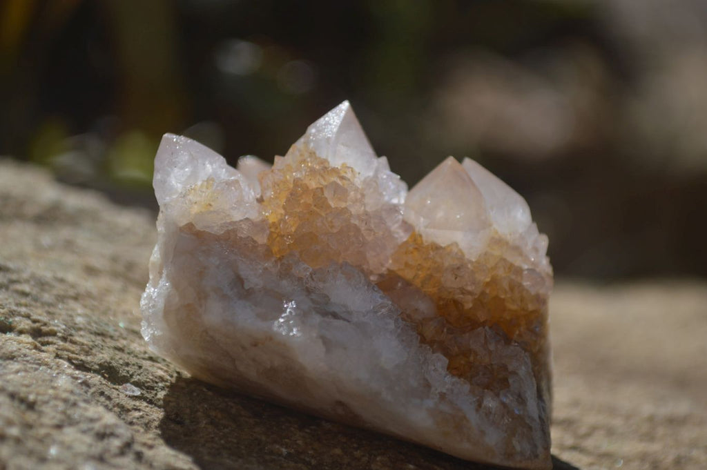 Natural Spirit Quartz Clusters x 12 From Boekenhouthoek, South Africa - Toprock Gemstones and Minerals 