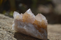 Natural Spirit Quartz Clusters x 12 From Boekenhouthoek, South Africa - Toprock Gemstones and Minerals 