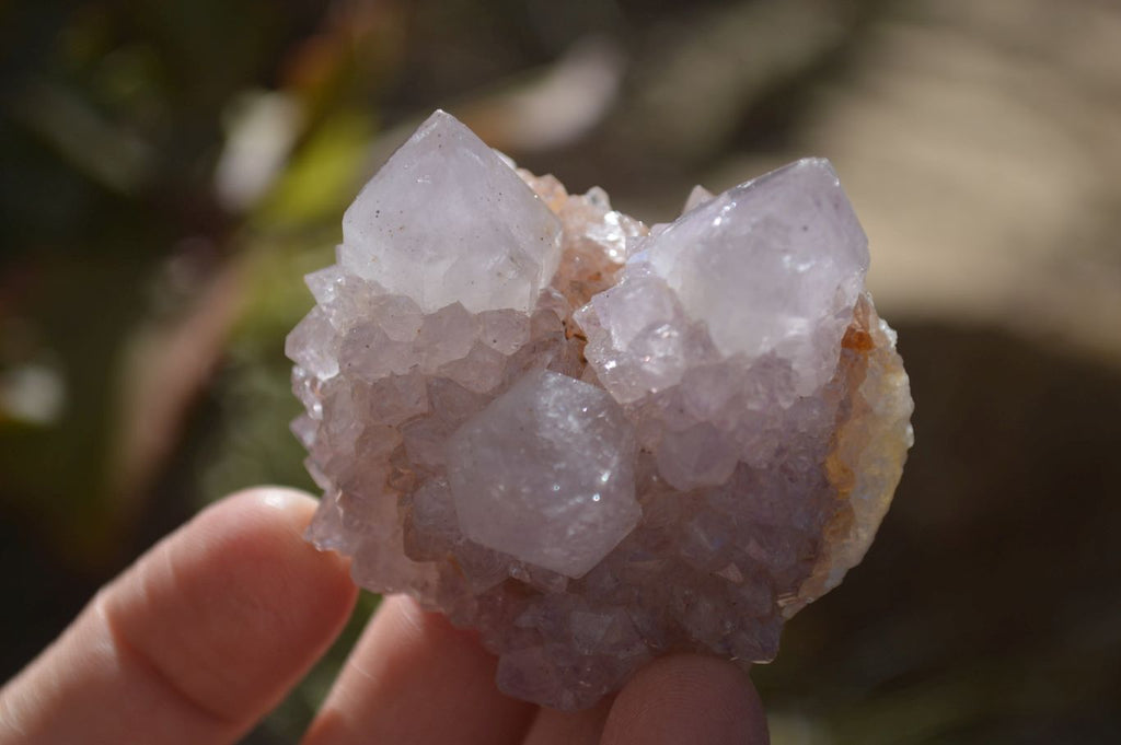 Natural Spirit Quartz Clusters x 12 From Boekenhouthoek, South Africa - Toprock Gemstones and Minerals 