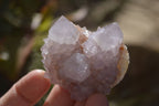 Natural Spirit Quartz Clusters x 12 From Boekenhouthoek, South Africa - Toprock Gemstones and Minerals 