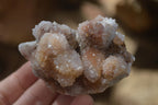 Natural Spirit Quartz Clusters x 12 From Boekenhouthoek, South Africa - Toprock Gemstones and Minerals 