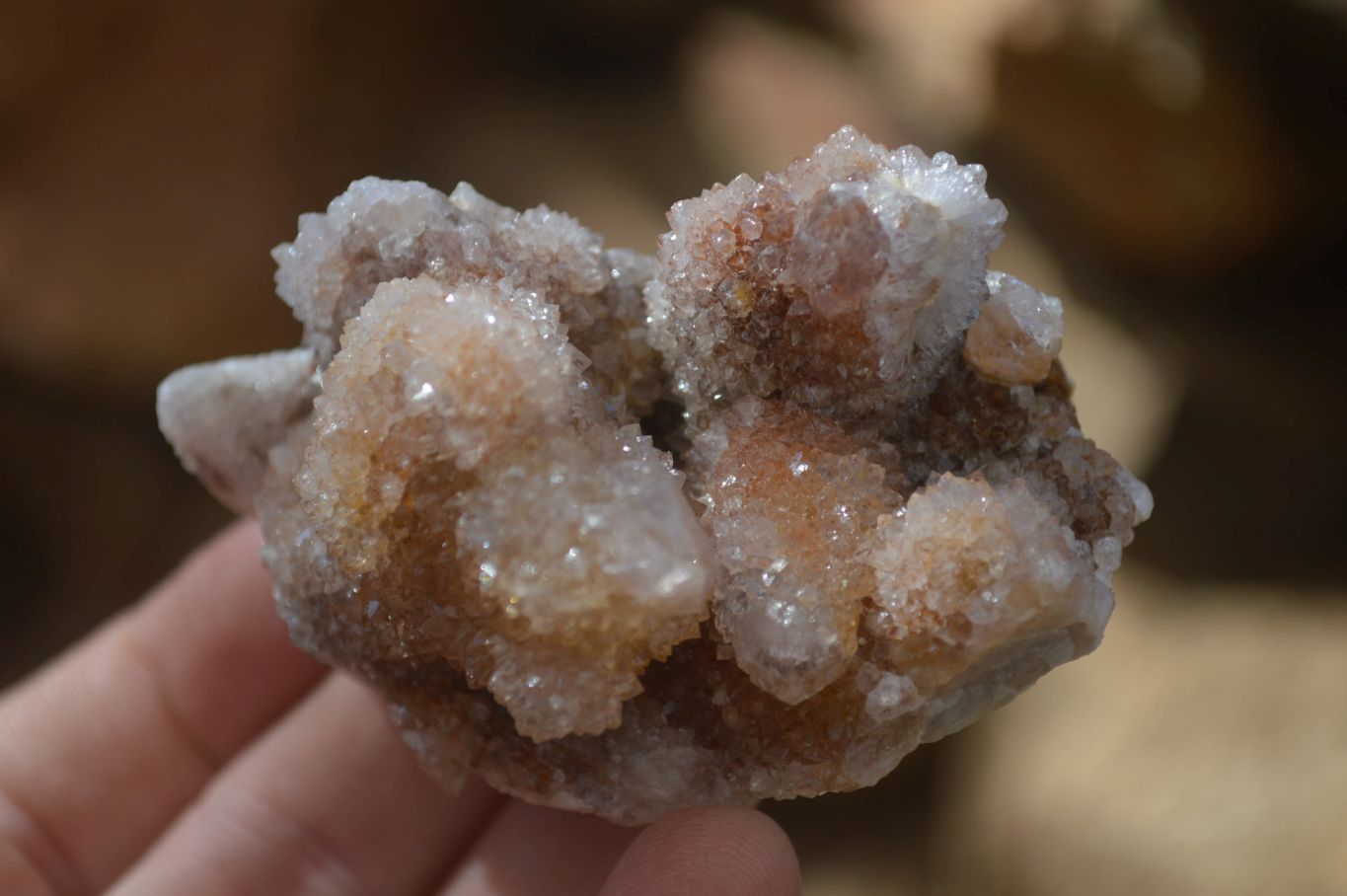 Natural Spirit Quartz Clusters x 12 From Boekenhouthoek, South Africa - Toprock Gemstones and Minerals 