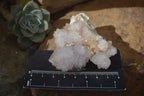 Natural Spirit Quartz Clusters x 12 From Boekenhouthoek, South Africa - Toprock Gemstones and Minerals 