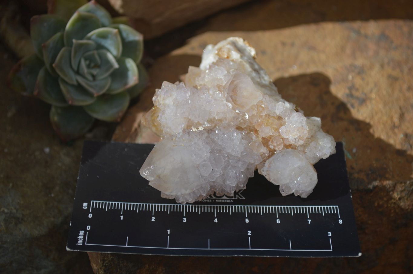 Natural Spirit Quartz Clusters x 12 From Boekenhouthoek, South Africa - Toprock Gemstones and Minerals 