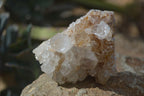 Natural Spirit Quartz Clusters x 12 From Boekenhouthoek, South Africa - Toprock Gemstones and Minerals 