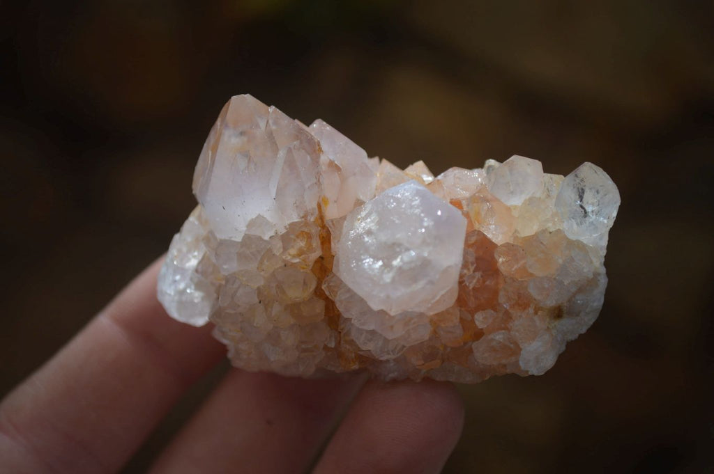Natural Spirit Quartz Clusters x 12 From Boekenhouthoek, South Africa - Toprock Gemstones and Minerals 