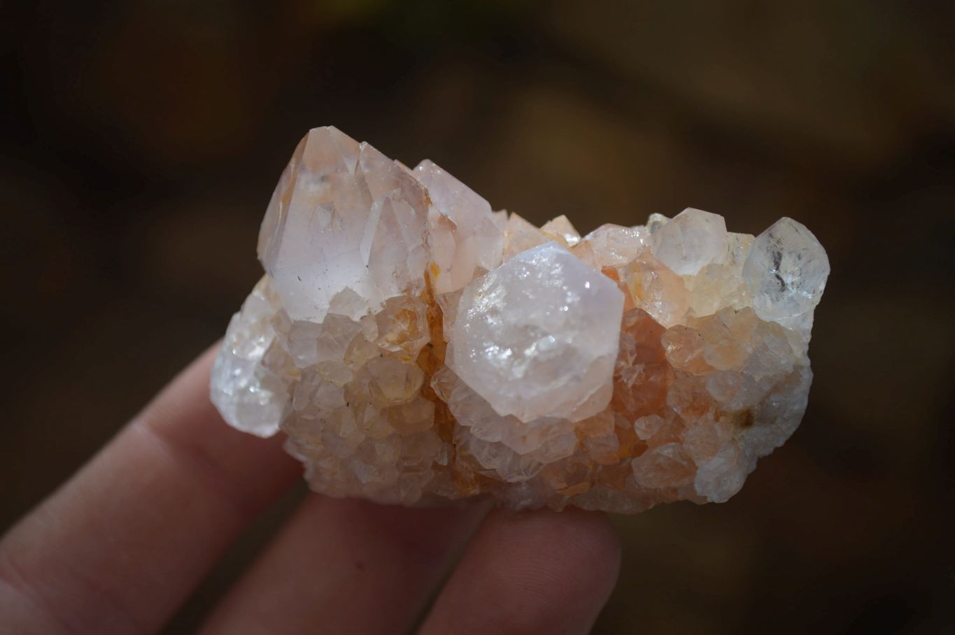 Natural Spirit Quartz Clusters x 12 From Boekenhouthoek, South Africa - Toprock Gemstones and Minerals 