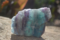 Polished One Side Polished Watermelon Fluorite Pieces  x 6 From Uis, Namibia - Toprock Gemstones and Minerals 