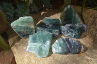 Polished One Side Polished Watermelon Fluorite Pieces  x 6 From Uis, Namibia - Toprock Gemstones and Minerals 