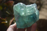 Polished One Side Polished Watermelon Fluorite Pieces  x 6 From Uis, Namibia - Toprock Gemstones and Minerals 