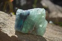 Polished One Side Polished Watermelon Fluorite Pieces  x 6 From Uis, Namibia - Toprock Gemstones and Minerals 