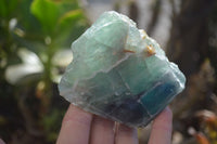 Polished One Side Polished Watermelon Fluorite Pieces  x 6 From Uis, Namibia - Toprock Gemstones and Minerals 