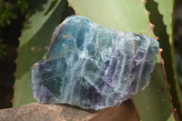 Polished One Side Polished Watermelon Fluorite Pieces  x 6 From Uis, Namibia - Toprock Gemstones and Minerals 