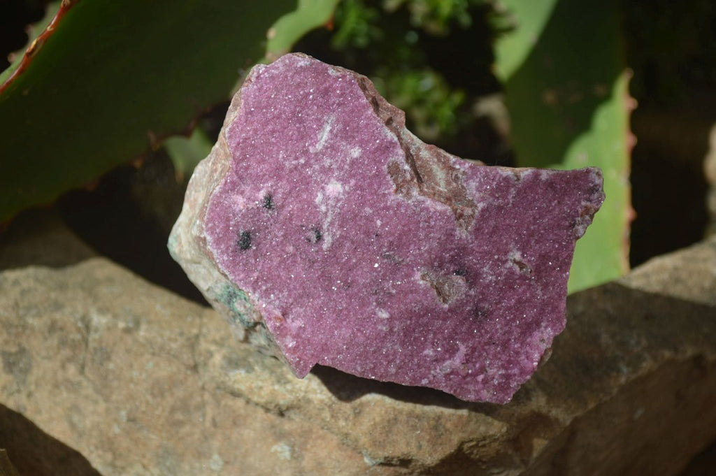 Natural Pink Salrose Cobaltion Dolomite Specimens  x 6 From Kakanda, Congo - Toprock Gemstones and Minerals 