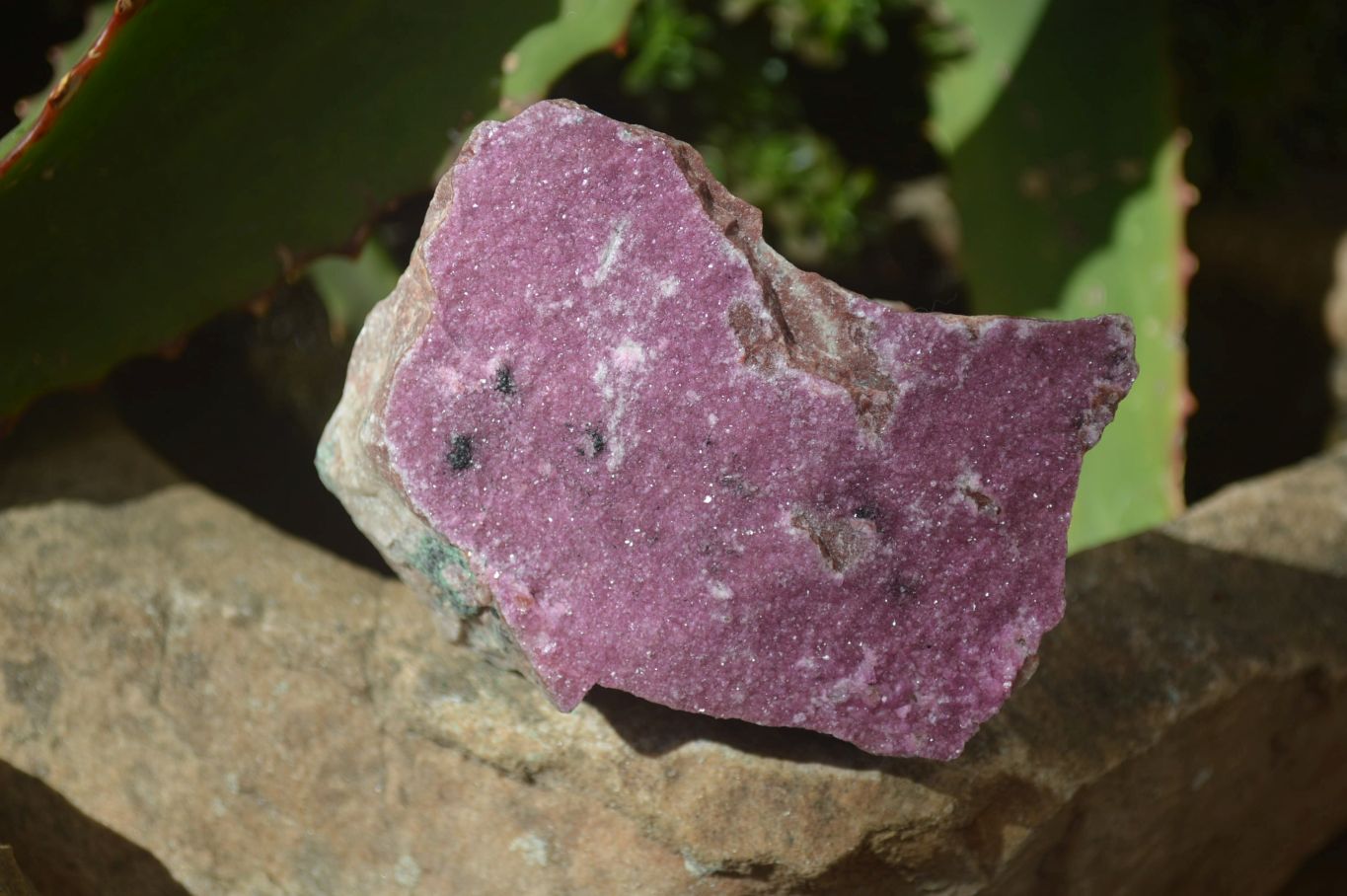 Natural Pink Salrose Cobaltion Dolomite Specimens  x 6 From Kakanda, Congo - Toprock Gemstones and Minerals 