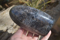 Polished Black Tourmaline Matrix Standing Free Forms x 2 From Madagascar - Toprock Gemstones and Minerals 