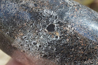 Polished Black Tourmaline Matrix Standing Free Forms x 2 From Madagascar - Toprock Gemstones and Minerals 