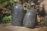 Polished Black Tourmaline Matrix Standing Free Forms x 2 From Madagascar - Toprock Gemstones and Minerals 