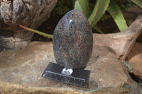 Polished Black Tourmaline Matrix Standing Free Forms x 2 From Madagascar - Toprock Gemstones and Minerals 