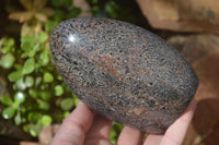 Polished Black Tourmaline Matrix Standing Free Forms x 2 From Madagascar - Toprock Gemstones and Minerals 