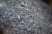 Polished Black Tourmaline Matrix Standing Free Forms x 2 From Madagascar - Toprock Gemstones and Minerals 