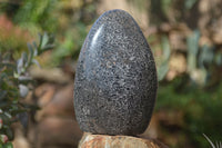 Polished Black Tourmaline Matrix Standing Free Forms x 2 From Madagascar - Toprock Gemstones and Minerals 