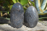 Polished Black Tourmaline Matrix Standing Free Forms x 2 From Madagascar - Toprock Gemstones and Minerals 
