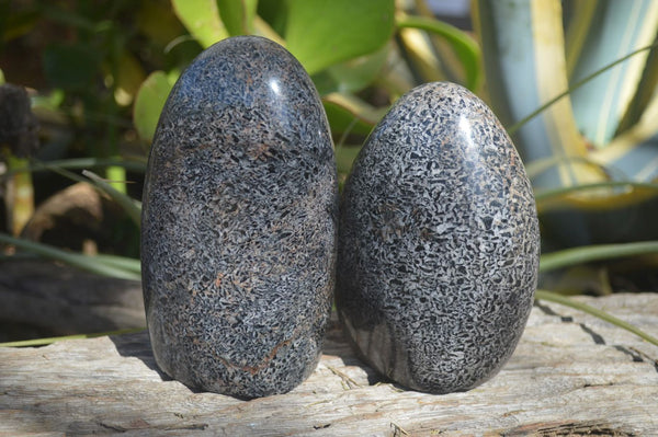 Polished Black Tourmaline Matrix Standing Free Forms x 2 From Madagascar - Toprock Gemstones and Minerals 