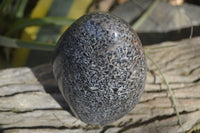Polished Black Tourmaline Matrix Standing Free Forms x 2 From Madagascar - Toprock Gemstones and Minerals 