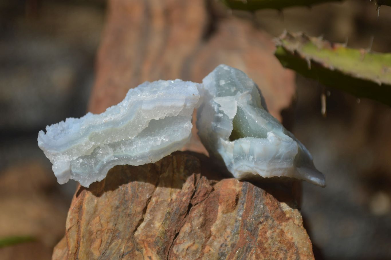Natural Etched Blue Chalcedony Specimens  x 35 From Nsanje, Malawi - Toprock Gemstones and Minerals 