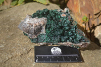 Natural Rare Ball Malachite On Drusy Quartz & Dolomite Specimen x 1 From Kambove, Congo - Toprock Gemstones and Minerals 