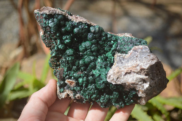 Natural Rare Ball Malachite On Drusy Quartz & Dolomite Specimen x 1 From Kambove, Congo - Toprock Gemstones and Minerals 