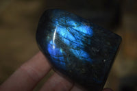 Polished Labradorite Standing Free Forms  x 6 From Madagascar - Toprock Gemstones and Minerals 