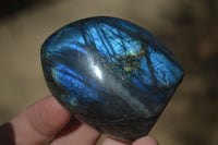 Polished Labradorite Standing Free Forms  x 6 From Madagascar - Toprock Gemstones and Minerals 
