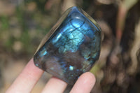 Polished Labradorite Standing Free Forms  x 6 From Madagascar - Toprock Gemstones and Minerals 