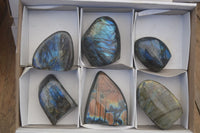 Polished Labradorite Standing Free Forms  x 6 From Madagascar - Toprock Gemstones and Minerals 