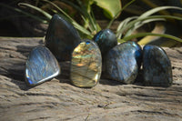 Polished Labradorite Standing Free Forms  x 6 From Madagascar - Toprock Gemstones and Minerals 