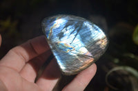 Polished Labradorite Standing Free Forms  x 6 From Madagascar - Toprock Gemstones and Minerals 